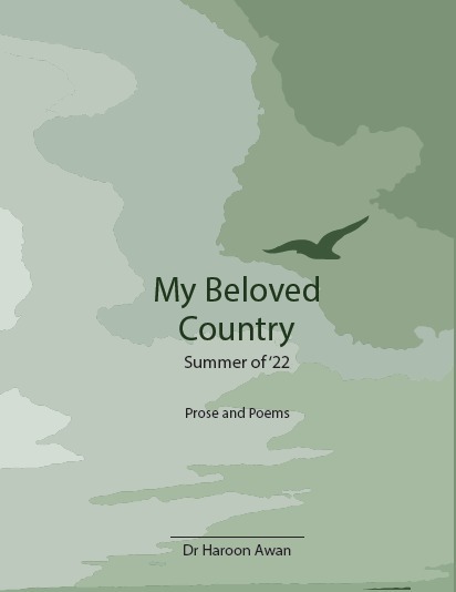 My Beloved Country - Summer of '22 Cover